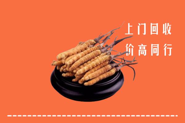 高价求购：临邑回收散虫草