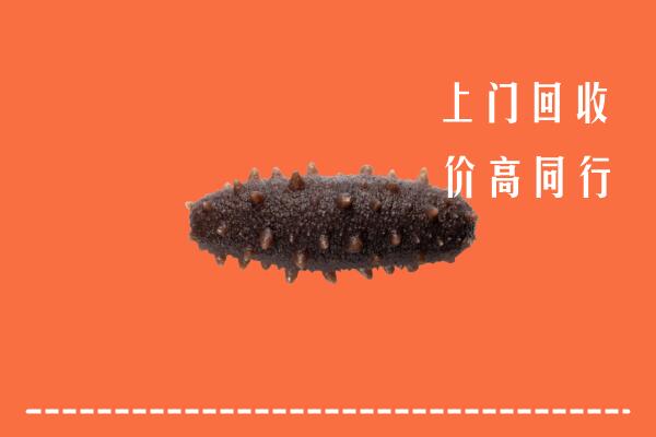 高价求购：临邑回收海参