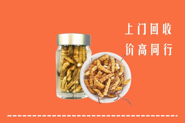 临邑回收冬虫夏草