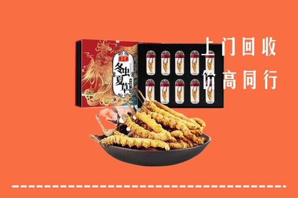 临邑回收虫草